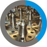 Weldo / Nipo Flanges